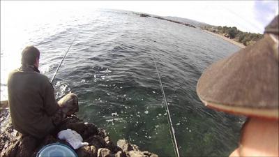 peche maquereau corse